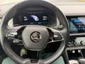 Skoda Kodiaq Style aus 1.Hand Grau - thumbnail 31