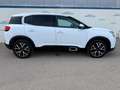 Citroen C5 Aircross BlueHdi 96kW (130CV) S&S Live Pack Blanco - thumbnail 4