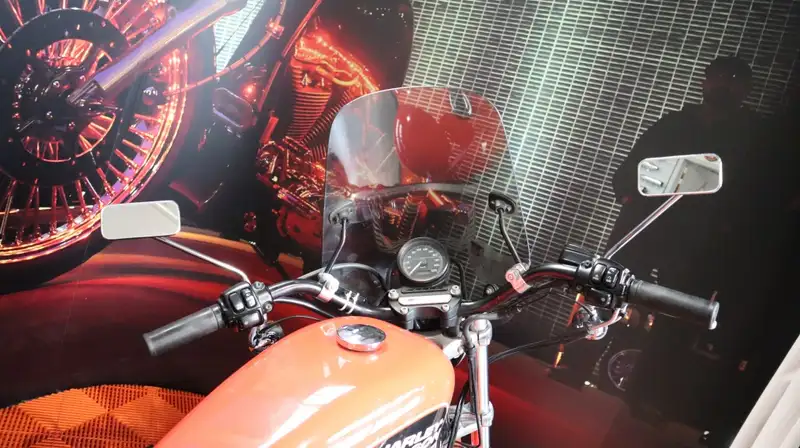 Harley-Davidson XL 883 - foto 7