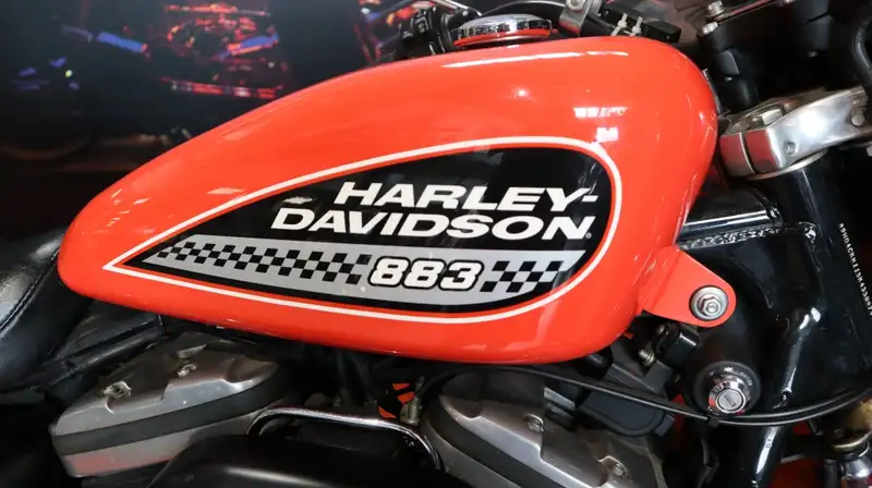 Harley-Davidson XL 883 - foto 4