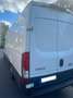 Iveco Daily 35 S 14A8 D Weiß - thumbnail 6