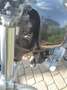 Yamaha TR 1 Scarmbler Umbau Noir - thumbnail 7