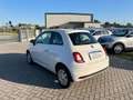 Fiat 500 1.0 hybrid Cult 70cv Bianco - thumbnail 5