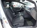 Volkswagen Golf R 2.0 TSI RFK*Navigation*ACC*Pano*LED Weiß - thumbnail 6