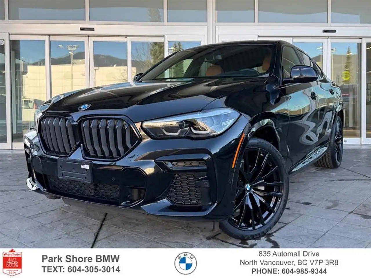 2023 BMW X6