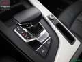 Audi A5 A5 Coupe 50 TDI qu S LINE MATRIX,KEYLESS,ACC,SH Grigio - thumbnail 24