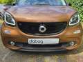 smart forFour prime Brun - thumbnail 30