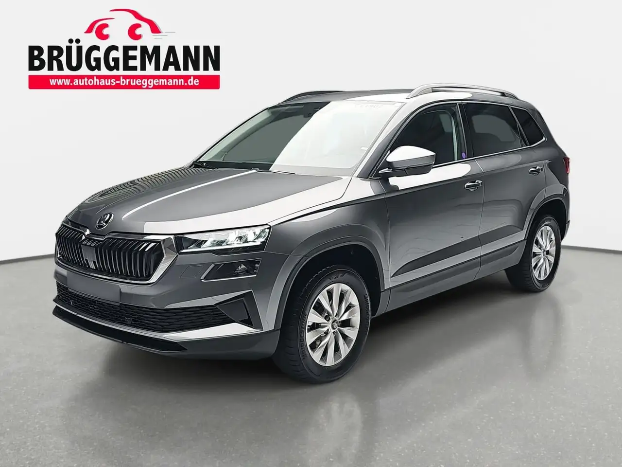 Skoda Karoq KAROQ 1.5 TSI DSG 130 JAHRE LED DAB SICHT WINTER E