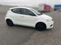 Lancia Ypsilon Ypsilon 1.2 Gold ecochic Gpl 69cv Bianco - thumbnail 4