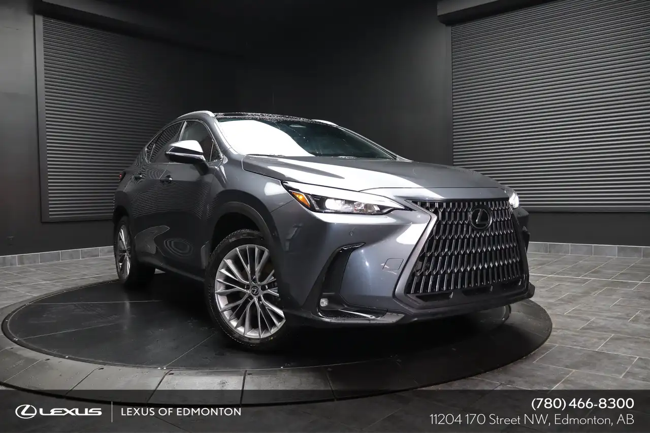 2024 Lexus NX