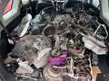 Chevrolet Captiva 2.4 LT 2WD Motor Läuft unrund*Export* Grijs - thumbnail 14