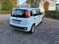 Fiat Panda 1.2 69PS*Klima*Radio*Freisprecheinrichtung* Blanc - thumbnail 2