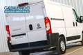 Fiat Ducato Furgón 30 L1H1 2.3 Multijet 120 Blanco - thumbnail 28
