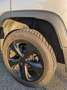 Jeep Cherokee Cherokee NightEagle 2.2 mjt 4wd active drive auto Argento - thumbnail 10