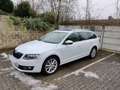 Skoda Octavia Combi 1.4 TSI (Green tec) DSG Ambition - thumbnail 1