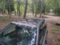 Land Rover Freelander Freelander 2.2Td4 S Gris - thumbnail 13