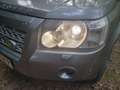 Land Rover Freelander Freelander 2.2Td4 S Gris - thumbnail 12