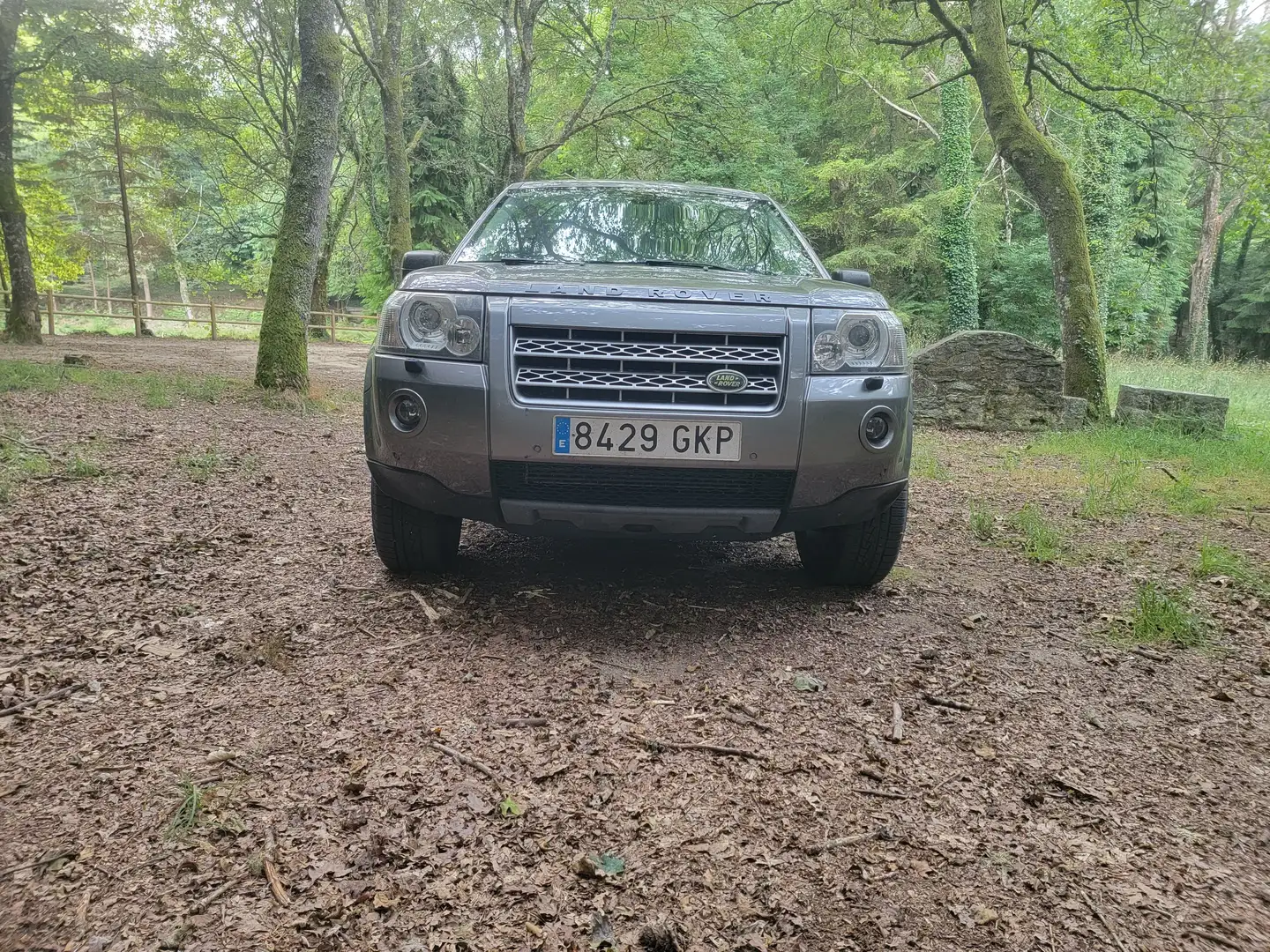 Land Rover Freelander Freelander 2.2Td4 S Gris - 2