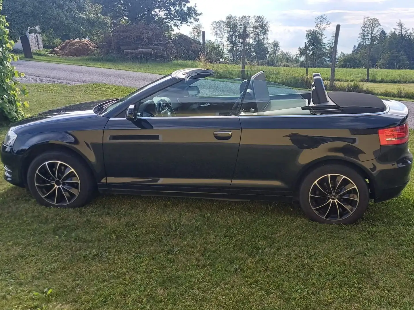 Audi Cabriolet A3 Cabriolet 1,6 TDI Style DPF Style Negru - 1