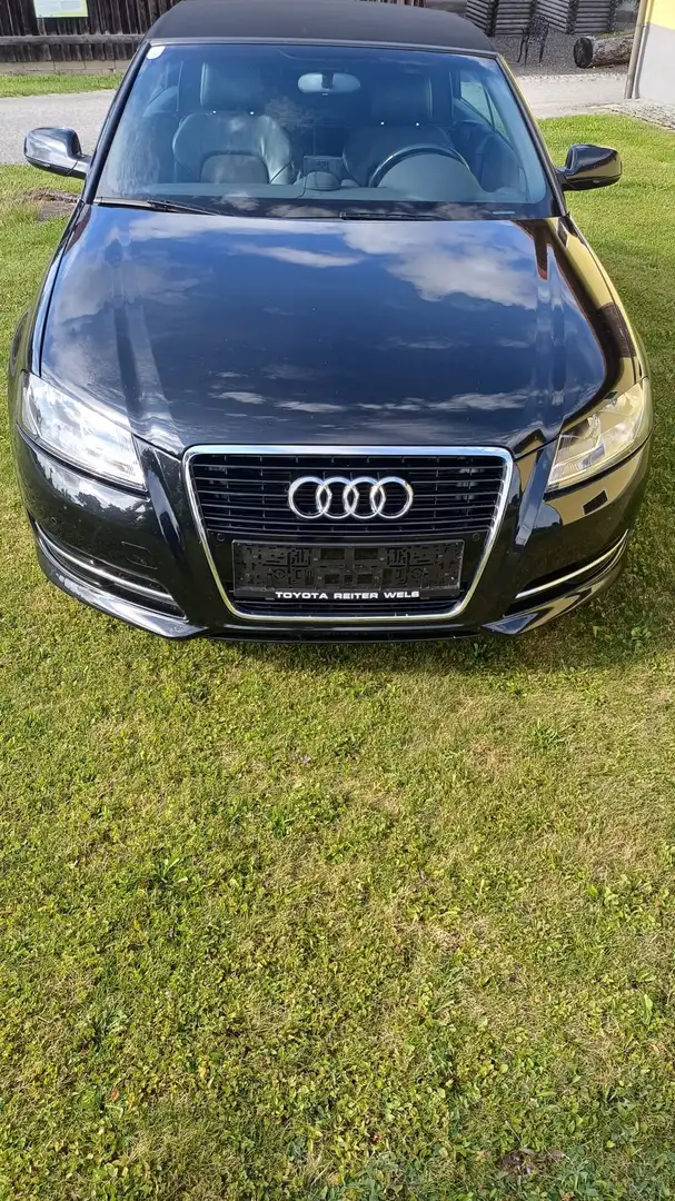 Audi Cabriolet A3 Cabriolet 1,6 TDI Style DPF Style Negru - 2