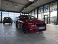 Skoda Fabia 1.0 TSI 70W 5G 130Jahre SUNSET|LED|CLIMATRONIC|SMA Rouge - thumbnail 11