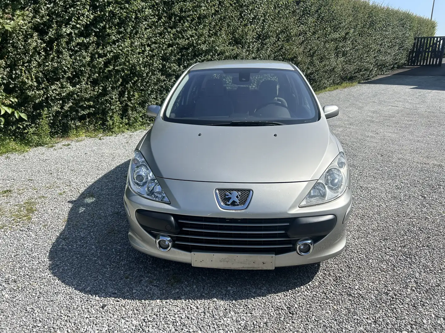 Peugeot 307 1.6i 16v XS/ GARANTIE 12MOIS/ CARPASS/ CT Grijs - 2
