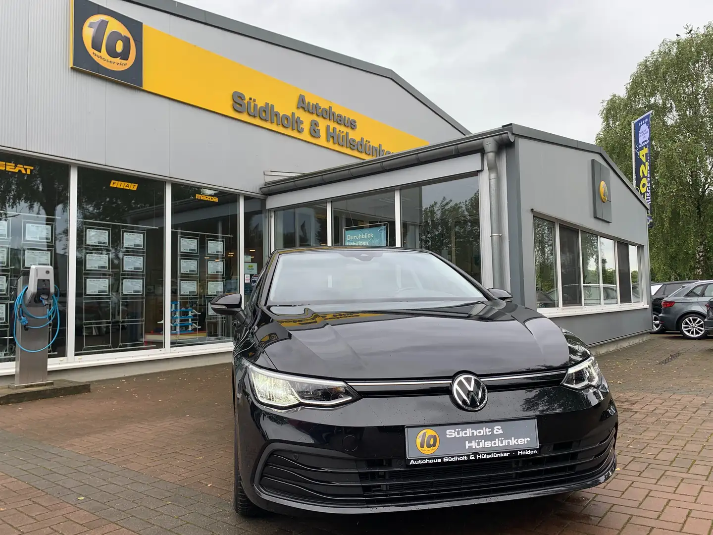 Volkswagen Golf Life - Discover Pro / SHZ / Lane / ACC / Privacy Noir - 1
