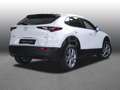 Mazda CX-30 G 140 Exclusive-Line NAVI SHZ PDC BT Blanc - thumbnail 2