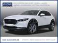 Mazda CX-30 G 140 Exclusive-Line NAVI SHZ PDC BT Blanc - thumbnail 1