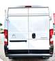 Citroen Jumper 35 BlueHDi 165 S&S PLM-TM Furgone Heavy White - thumbnail 6