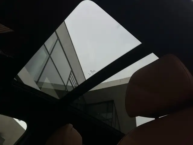 BMW X5 view 9