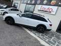 Audi A4 allroad A4 Allroad Quattro 40 2.0 tdi mhev quattro 204cv Blanc - thumbnail 5