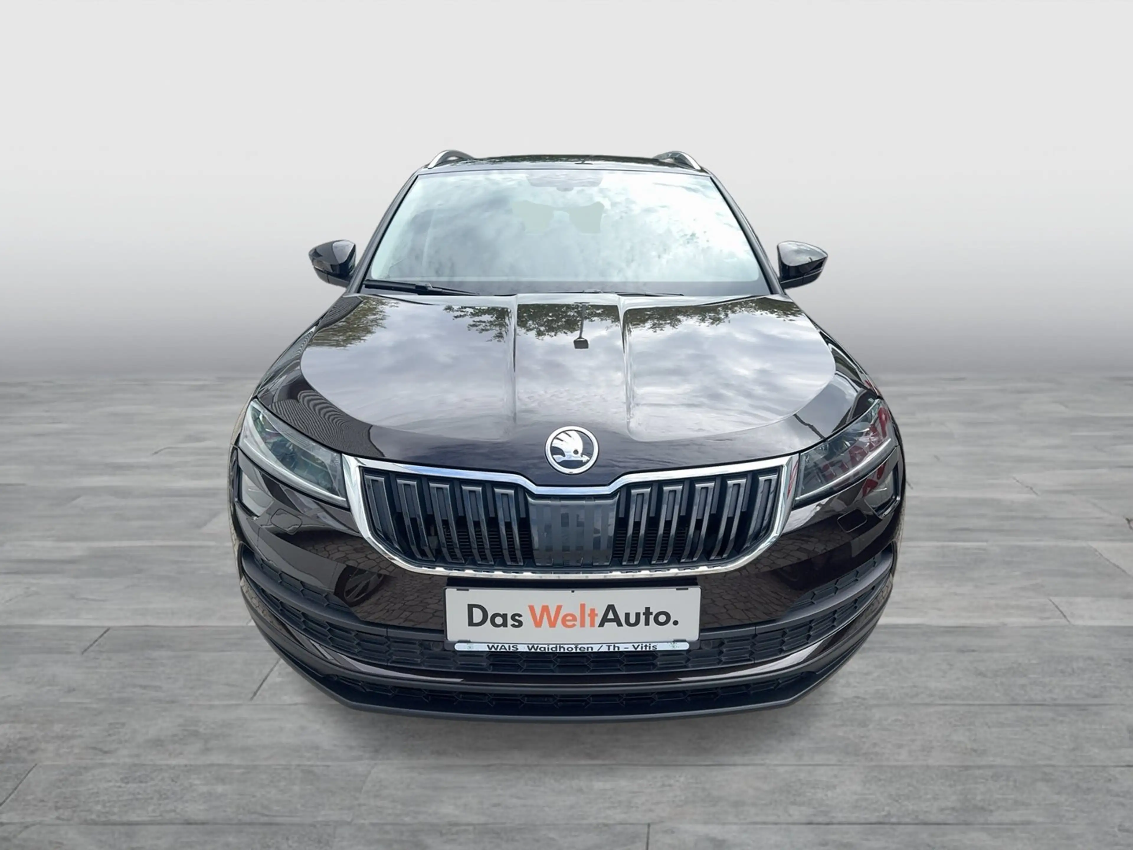 Skoda Karoq Style Limited TDI DSG — photo 2
