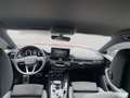 Audi A5 40 TDI quattro S line Rot - thumbnail 10