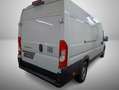 Fiat Ducato 2.2 Maxi L4H2*Cargo+*Visibility+*Worksite Weiß - thumbnail 3