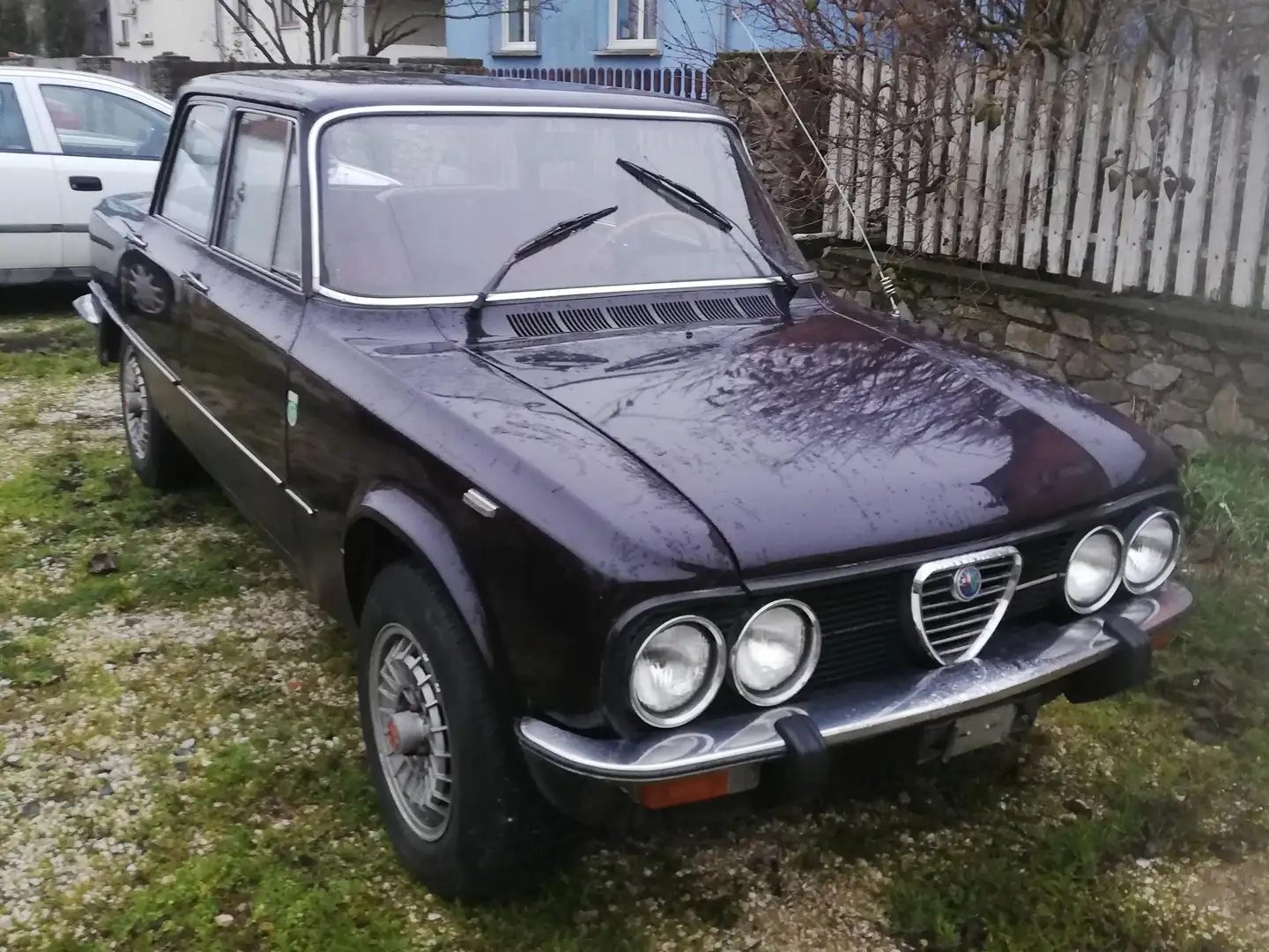Alfa Romeo Giulia Nuova 1600 - 1