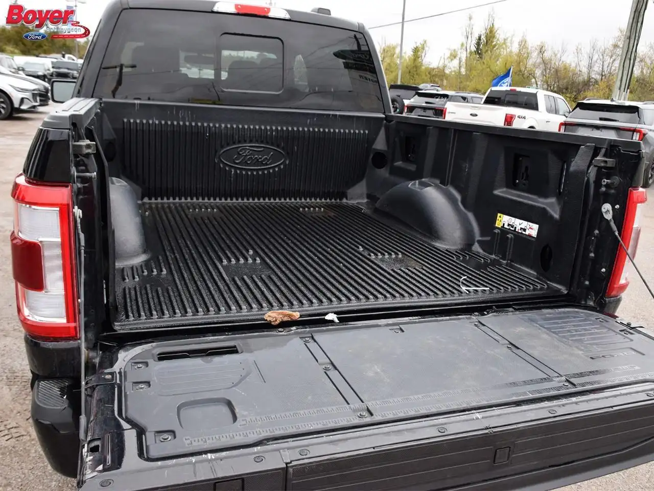 Ford F 150 снимка Ford F 150