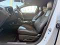 Ford Mondeo 2.0 TDCi ST-Line AWD Automatik Weiß - thumbnail 8
