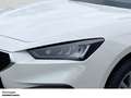 SEAT Leon 1.0 TSI SOFORT VERFÜGBAR Blanc - thumbnail 5
