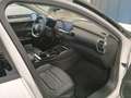 Citroen C5 X 1.2 PureTech Fin. ab 2,99% Navi,2xKlima Weiß - thumbnail 5