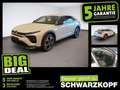 Citroen C5 X 1.2 PureTech Fin. ab 2,99% Navi,2xKlima Weiß - thumbnail 1