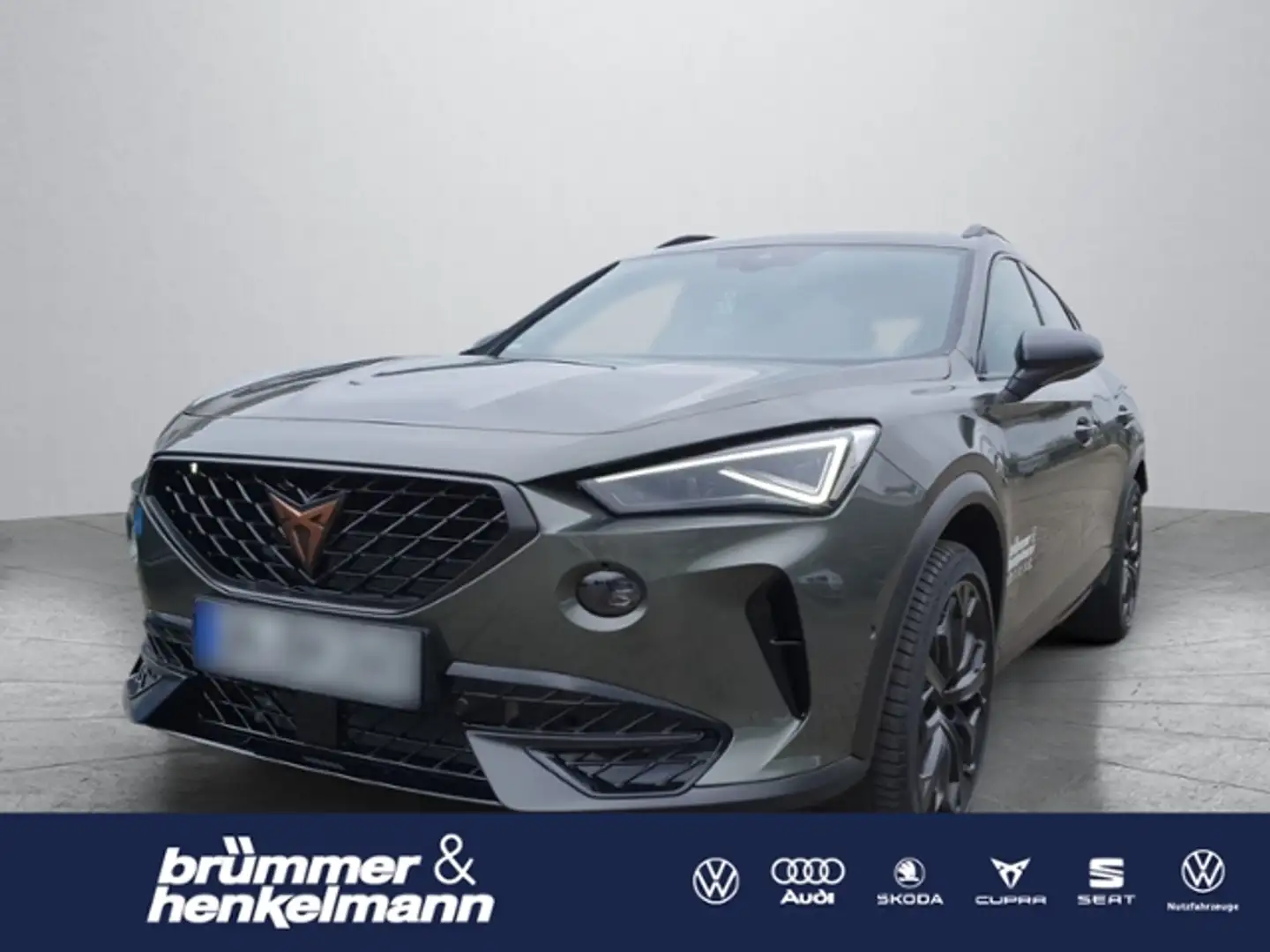 CUPRA Formentor VZ 2.0 TSI 7-Gang DSG +Matrix LED+Navi+ACC+Kamera Grau - 1