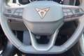 CUPRA Formentor 2.0 TDI 150 Azul - thumbnail 22