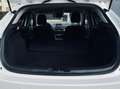 Mazda 3 3 5p 2.2d Exceed 150cv Bianco - thumbnail 9