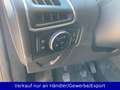 Ford Focus Turnier 1.6 EB Champions Edition Blau - thumbnail 15