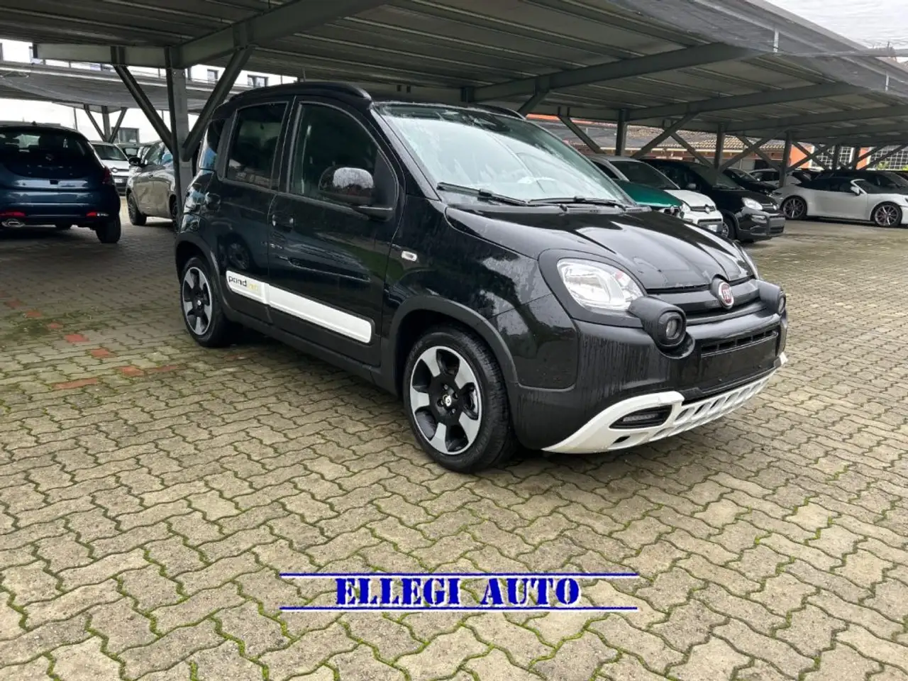 Fiat New Panda