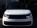 Land Rover Range Rover P530 LWB Autobio*FondEntert*AHK*23Zo Weiß - thumbnail 4