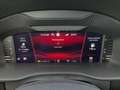 Skoda Kodiaq Sportline 4x4 2.0 TDI StandHZG Pano ACC Navi DigiC Rot - thumbnail 15