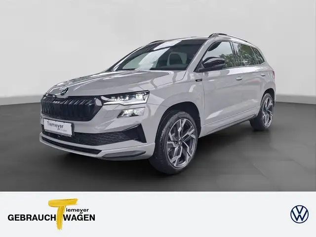 Skoda Karoq main image