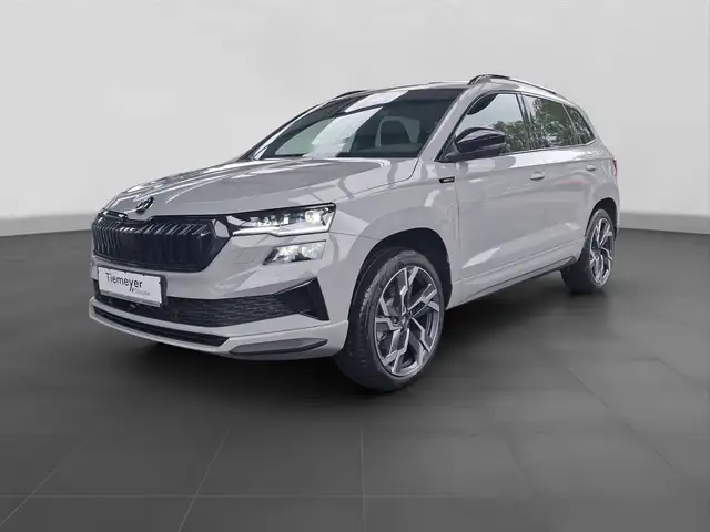 Skoda Karoq view 2